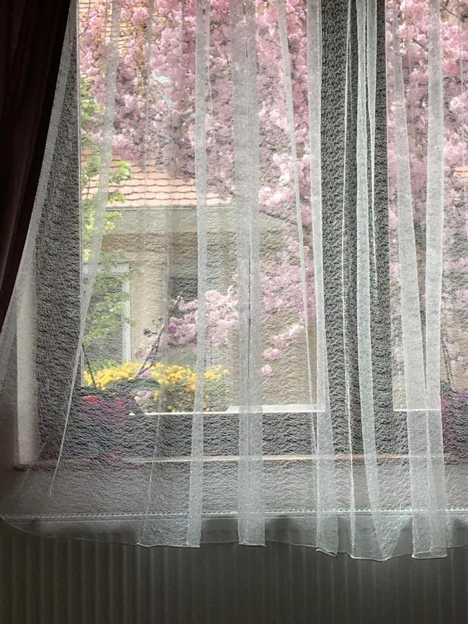 Casa Marherita Appartman Hajdúszoboszló 외부 사진