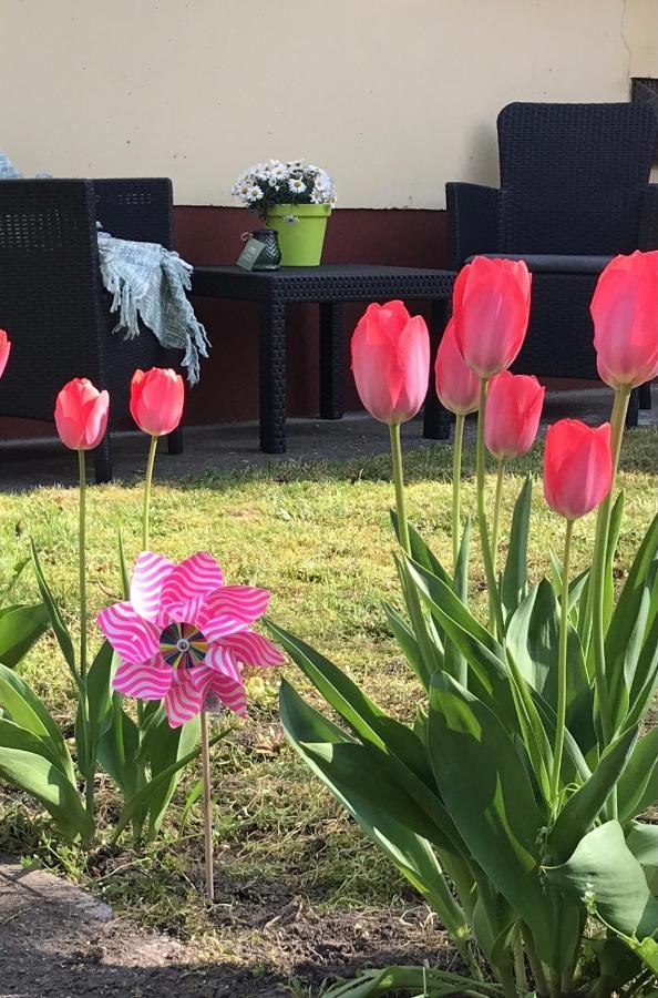 Casa Marherita Appartman Hajdúszoboszló 외부 사진